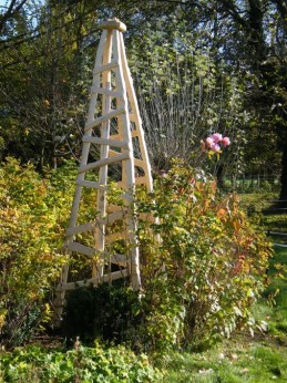 10 foot high chestnut plant obelisk