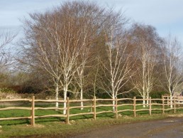 3 rail cleft chestnut post and rail fencing