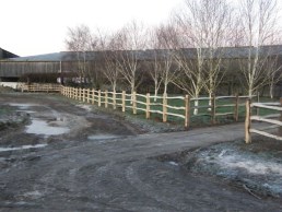 3 rail cleft chestnut post and rail fencing