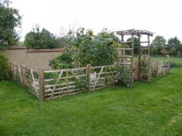 Weathered chestnut gate hurdles around vegetable garden with arch and gate