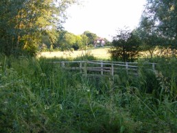 Cleft chestnut hand rails on an existing bridge