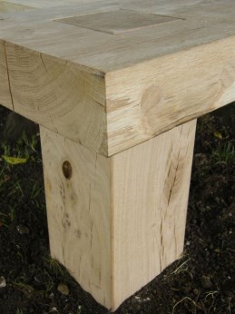 Green oak tree seat detail