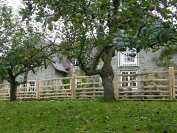Sweet chestnut gate hurdles in orchard