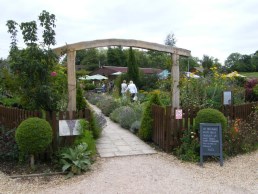 Simple green oak arch at entrance to lavender farm