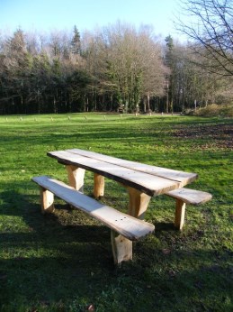 Fixed green oak picnic table and benches (sold) 