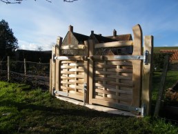 Oak with cleft chestnut infill gate