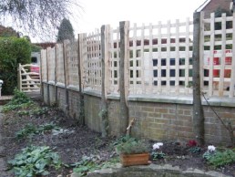 Sweet chestnut trellis along top of brick wall