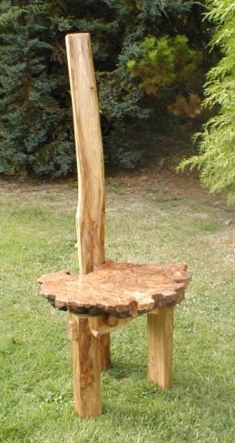 Elm burr chair